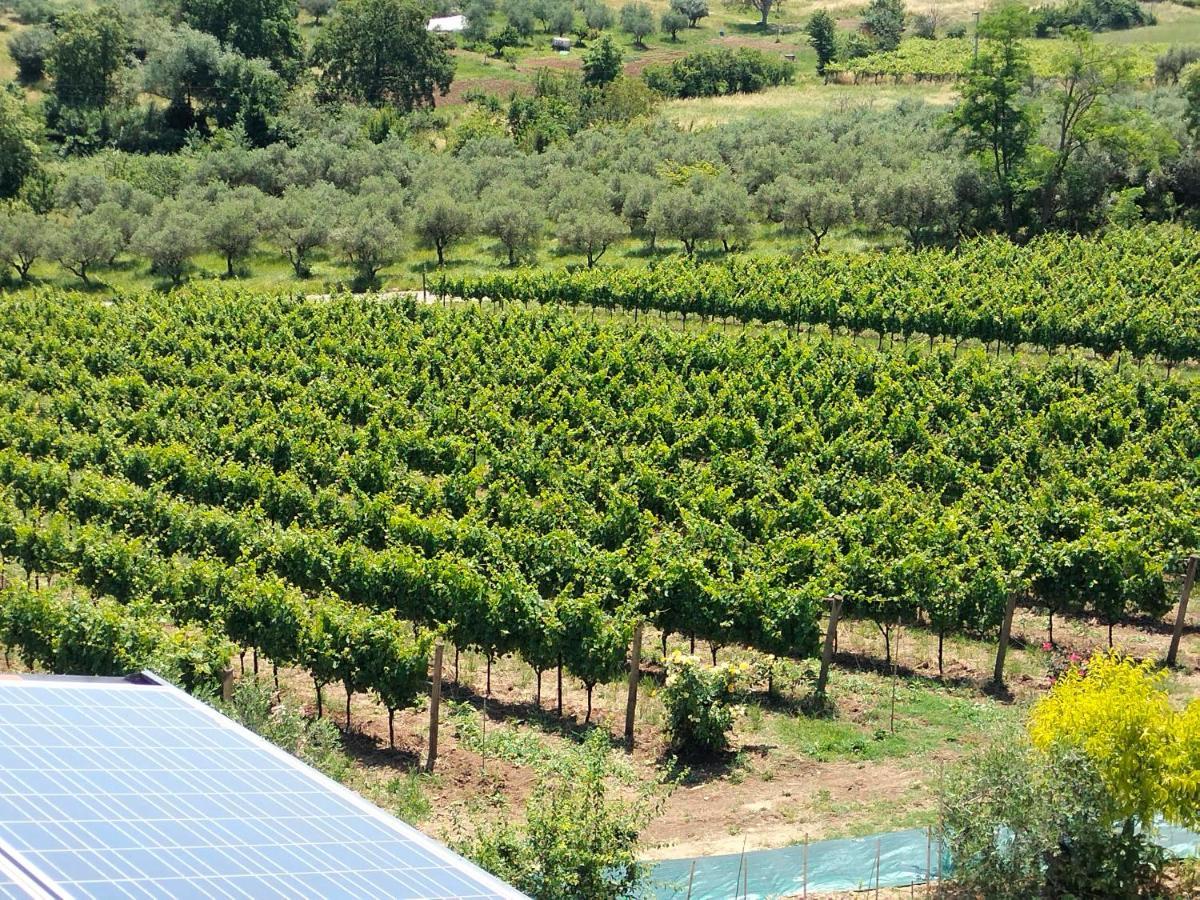 Angelucci Agriturismo Con Camere E Agri Camping Lanciano Exterior foto