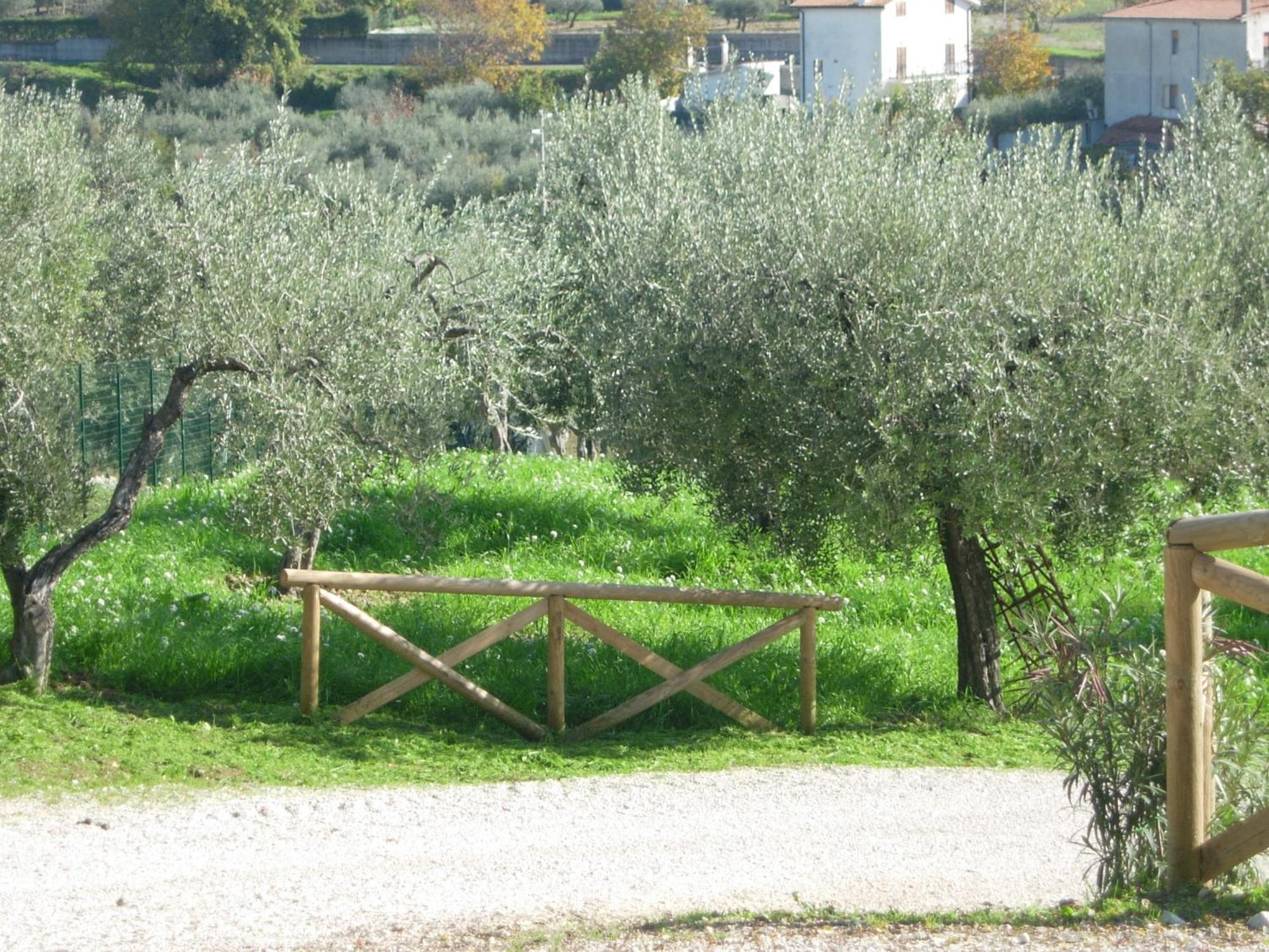 Angelucci Agriturismo Con Camere E Agri Camping Lanciano Exterior foto